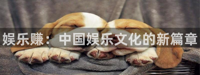 风暴娱乐登录地址