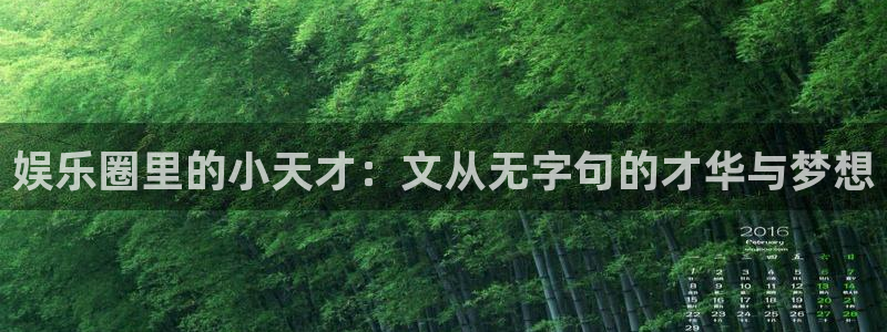 风暴娱乐官网
