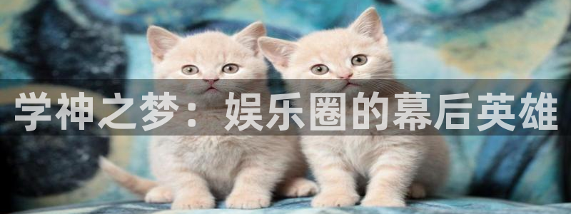 风暴娱乐
