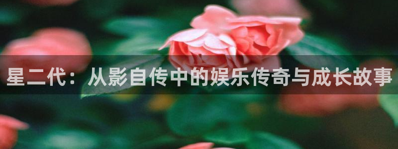风暴娱乐官网