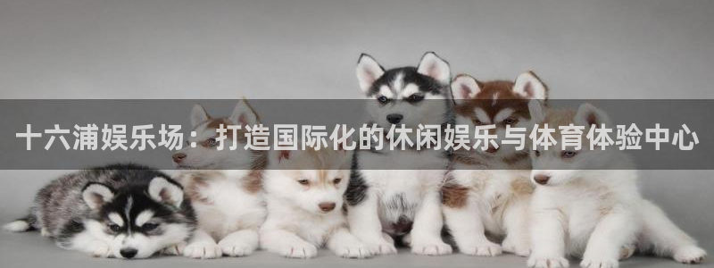 风暴娱乐