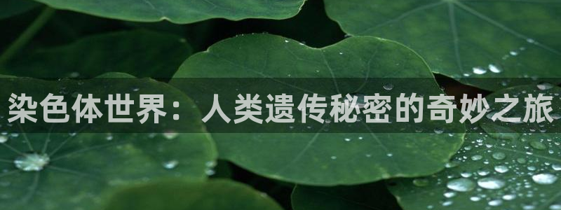 风暴娱乐登录地址
