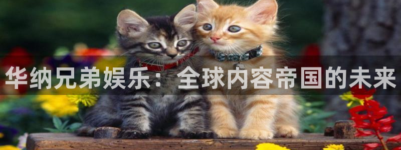 风暴娱乐官网