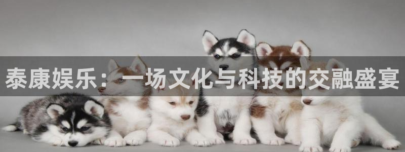 风暴娱乐登录